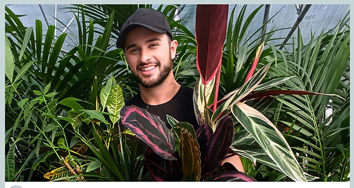 ვანოს ბაღის საეტაპო ზრდა: ყვავილების ბაზრობა და რჩევები მცენარეების მოყვარულებს - პოსტი IV