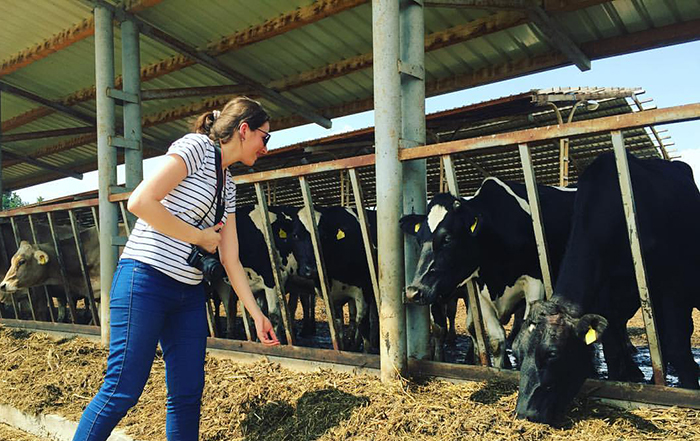 ცხოველის ჯანმრთელობა = ადამიანის ჯანმრთელობა (მედია ვეტერინარიაზე)