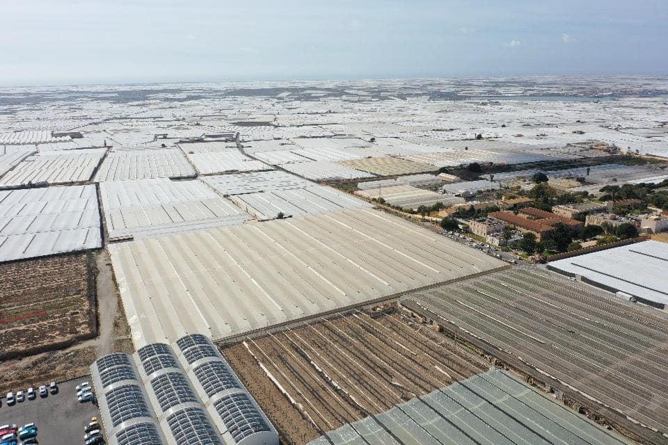 ესპანეთის აგრარული მიღწევები და გამოწვევები