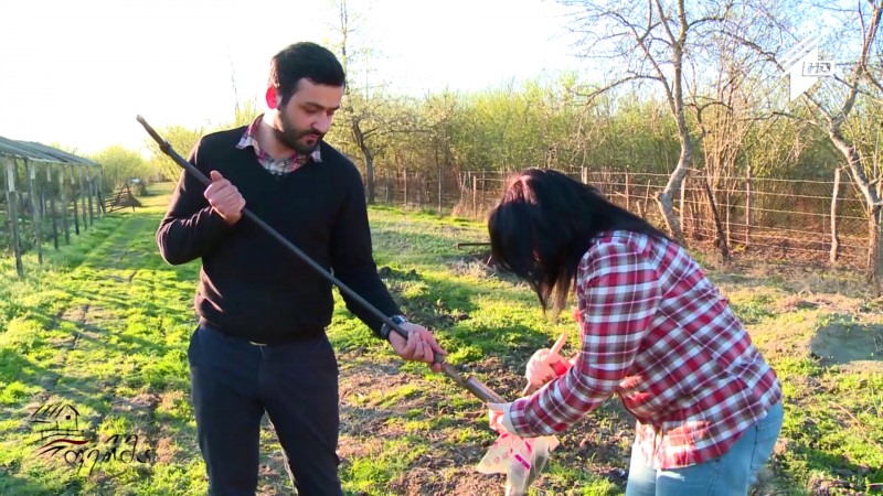 აგრონომიის საფუძვლები ჟურნალისტებისთვის