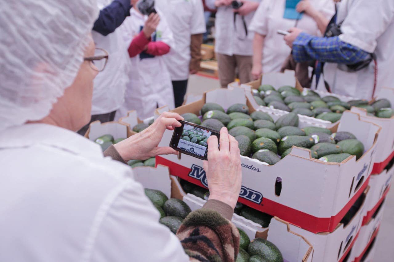 რუსუდან გიგაშვილის მექსიკური მედია ტური და საქართველოს სასურსათე წარმოების შეფასება - პოსტი VI